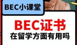 学生爆料吃瓜视频下载,揭秘校园幕后风云